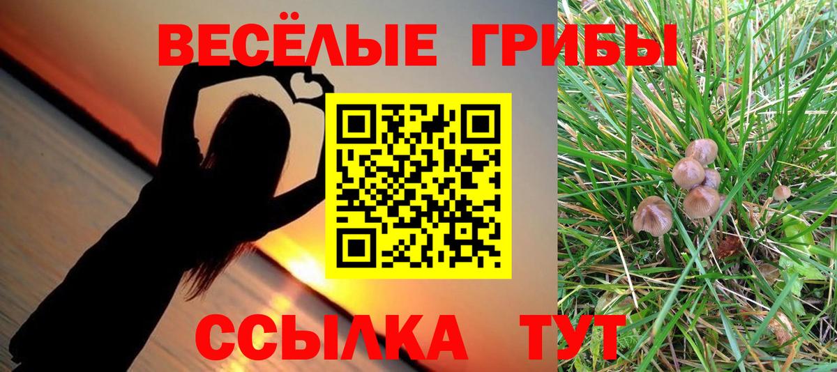 Пыть-Ях  Галлюциногенные грибы мицелий  Вход с VPN  Галлюциногенные грибы прущие грибы 